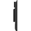 Monitorius ViewSonic CDE9830