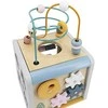 Viga Toys Lavinantis Medinis Žaislas VIGA Polar 5w1