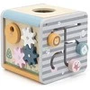 Viga Toys Lavinantis Medinis Žaislas VIGA Polar 5w1
