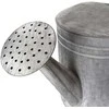 Home Styling Collection Dekoratyvinis laistytuvas metalinė