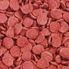 SERA Vipachips Pašaras dugninėms žuvims 90 g
