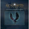 WARNER BROS Hogwarts Legacy