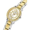 Laikrodis Watches GUESS LADIES GW0468L4