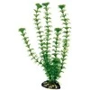 AMTRA CABOMBA augalas labai didelis 33cm 1vnt