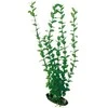 AMTRA ROTALA augalas mažas 13cm 1vnt