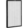 Filter for WEBBER AP8700 oro valytuvas