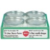 Jata WECK Stiklainis su dangteliu 0,25 l, 4 vnt. rinkinys