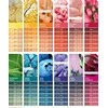 Plaukų dažai Wella Color Fresh Create 60ml - Nu-Dist Rožinė