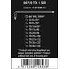 Šešiakampių raktų komplektas WERA, TX8-TX40 mm, TORX tipo, suapvalintu galu, BlackLaser, 9 vnt.
