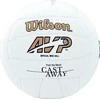 Tinklinio kamuolys Wilson Castaway