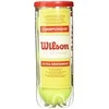 Teniso kamuoliukai WILSON CHAMPIONSHIP 3vnt WRT100101