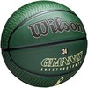 Krepšinio kamuolys Wilson NBA, 7 dydis