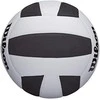 Tinklinio kamuolys patalpoms Pro Tour Wilson 5dydis