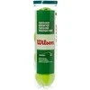 WILSON STARTER Žalias teniso kamuoliukai (4 kam.)
