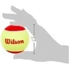 WILSON WILSON STARTER Raudonas (12) teniso kamuoliukai