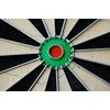 Taikinys Winmau Pro SFB