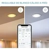 WiZ LED lemputė šalta-šilta balta Žvakė | 4,9 W | 2700-6500K | C37 | E14 | 1 vnt.