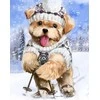 Wizardi Deimantinis paveikslas Skier WD2447