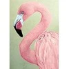 Wizardi Deimantinis paveikslas Rožinė Flamingo WD232 27*38 cm
