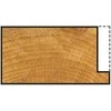 Wolfcraft FREZA MEDŽIO WS CILIN PJOV 25X22X8MM