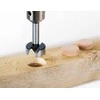 Grąžtas Wolfcraft Sourcing 1 FORSTNERIO GRĄŽIMO BOTAS 10 MM | Tiekimas