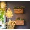 Lemputė LED filamentas E27, 230V, 6W, 650lm, 2700K, išmanioji Wi-Fi, valdoma programėle, TUYA, WOOX