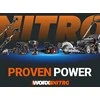 Šakų genėjimo grandininis pjūklas Worx WG325E; 20 V; 12 cm; 1x2,0 Ah akum.
