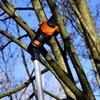 Grandininis pjūklas Aukštapjovė Worx WG349E.9; 20 V (be akumuliatoriaus ir pakrovėjo)
