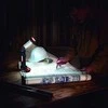WORX daugiafunkcinė LED lempa, 20V, 120–510 liumenų, WX027.9
