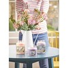 Yankee Candle Sweet Nothings Scented Candle, 623 g
