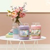 Yankee Candle Sweet Nothings Scented Candle, 623 g