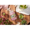 Yankee Candle Sunny Daydream kvapioji žvakė, 623 g
