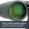 Žiūronai Celestron Nature DX 8x42 roof