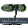Žiūronai Celestron 71330
