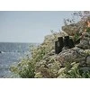 Žiūronai Olympus 8x42 EXPS I