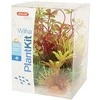 Zolux Plant Rinkinys Wiha augalų apdailos modelis 4 (352143)