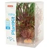 Zolux Plant Rinkinys Wiha augalų apdailos modelis 3 (352142)