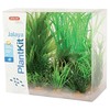Zolux augalų dekoracija akvariumui Plantkit Jalaya, modelis 1