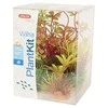 Zolux Plant Rinkinys Wiha augalų apdailos modelis 4 (352143)