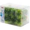 Zolux Mažų augalų rinkinys IDR 24 vnt.