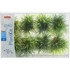 Zolux Dirbtinių augalų rinkinys 3cm 8vnt