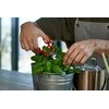 ZWILLING 43924-200-0 darbo stalo žirklės / figūrinės žirklės Raudona, Sidabras