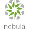„ZYXEL NEBULA PROFESSIONAL“ PAKETO LICENCIJA (VIENAM ĮRENGINIUI) 1 METAI