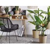 Beliani Dirbtinis motiejukas 115 cm STRELITZIA TREE