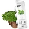 Click and Grow 3 vnt. papildymas - vaistinės melisos sėklos (lemon balm)