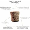 Click & Grow sėklos išmaniajam vazonui - Margenis darželinis, 3vnt.