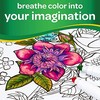 Crayola, Inc. Goliath Plaunami žymekliai, 24 vnt