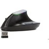 Belaidė vertikali pelė Delux M618DB BT4.0 + 2.4Ghz RGB