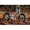 Balansinis dviratis EARLY RIDER Charger 12