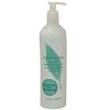 Kūno losjonas Elizabeth Arden Green Tea BLO 500ml 